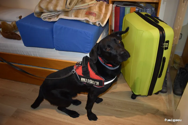 Biovida - Control de plagas