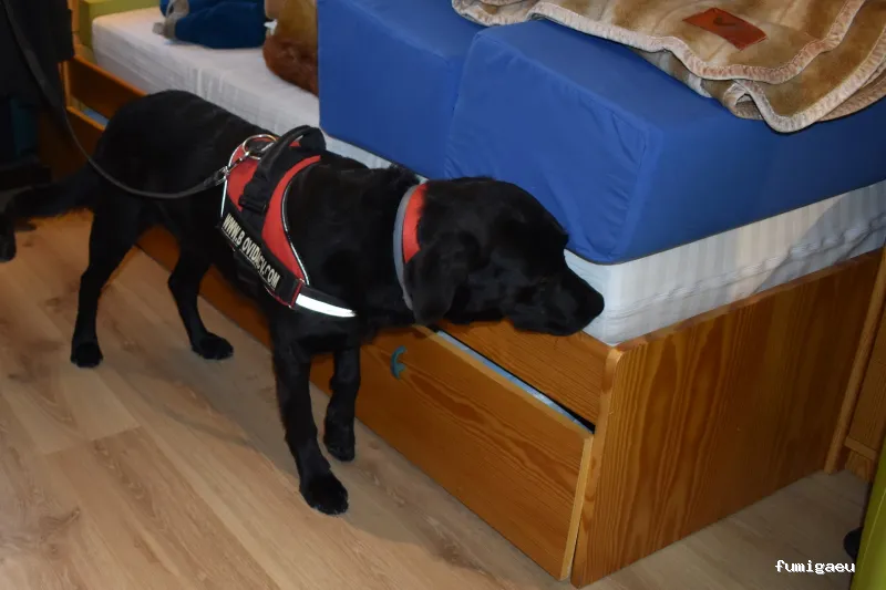 Biovida - Control de plagas