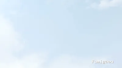 Bioimsa Control de Plagas, S.L.