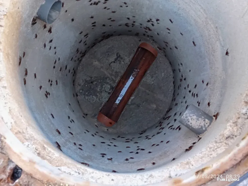 BAG CONTROL DE PLAGAS LA ZUBIA