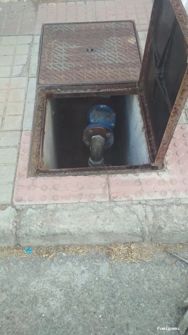 BAG CONTROL DE PLAGAS LA ZUBIA