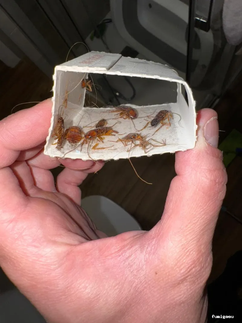 BAG CONTROL DE PLAGAS LA ZUBIA