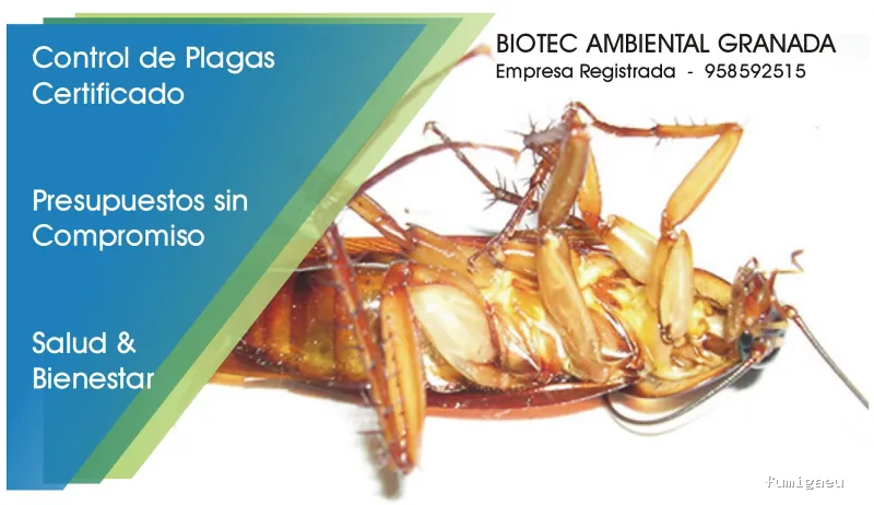 BAG CONTROL DE PLAGAS LA ZUBIA