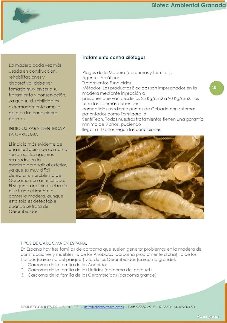 BAG CONTROL DE PLAGAS LA ZUBIA