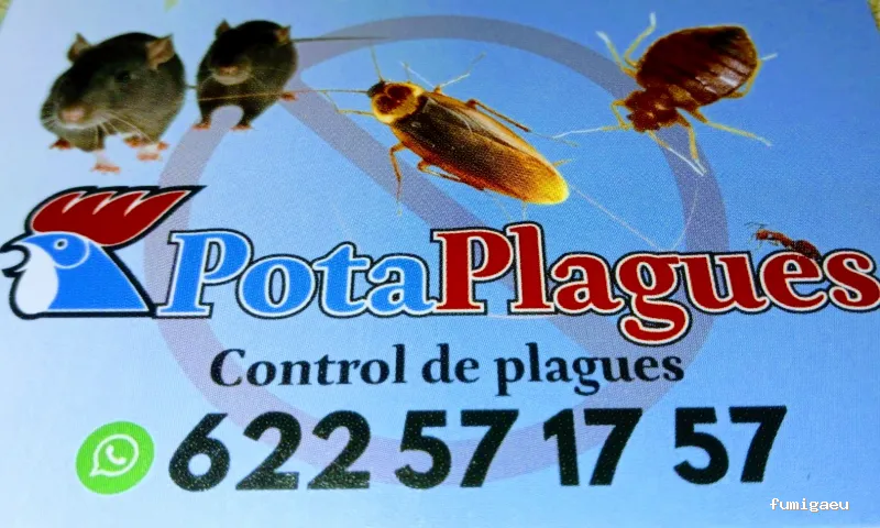 PotaPlagues - Control de Plagas