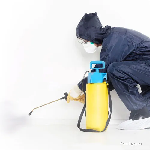 Control de plagas en Madrid | TCP Desinsectación