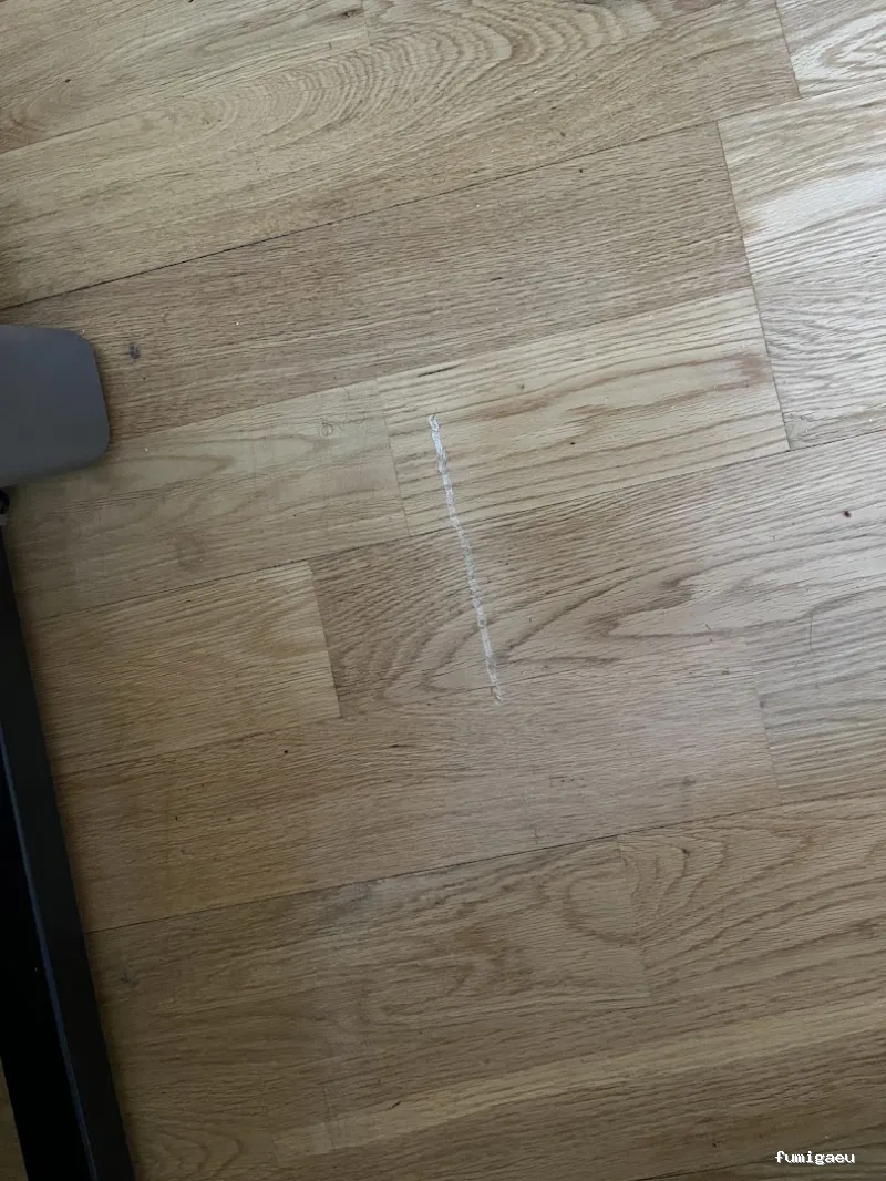 DLV CONTROL DE PLAGAS