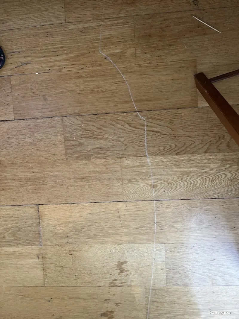 DLV CONTROL DE PLAGAS