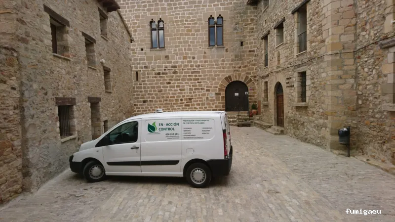 En-acción control de plagas y servicios