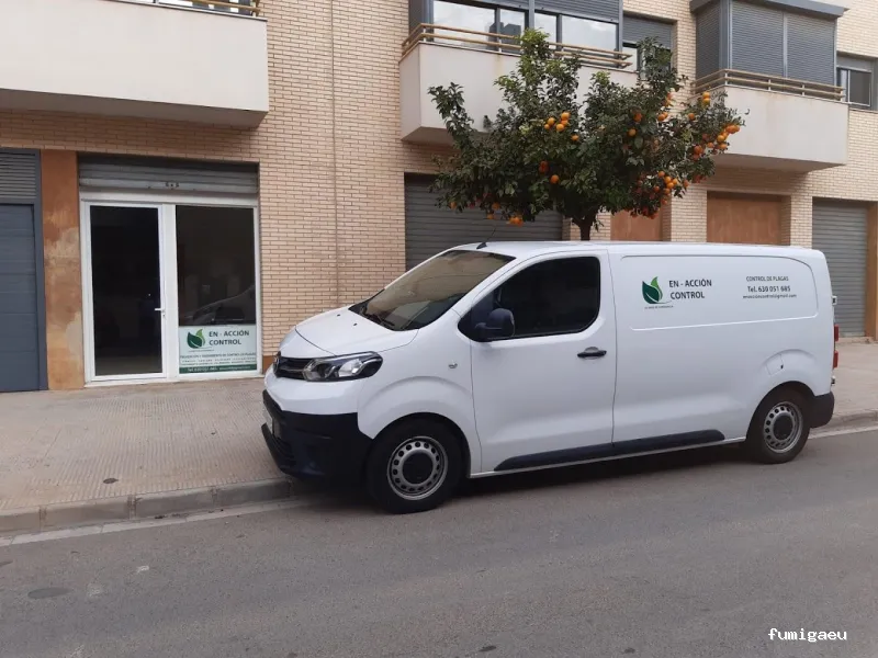 En-acción control de plagas y servicios