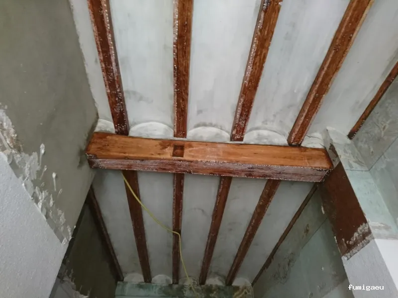 En-acción control de plagas y servicios