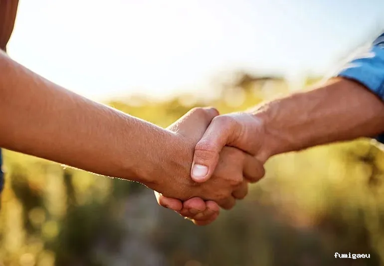 En-acción control de plagas y servicios