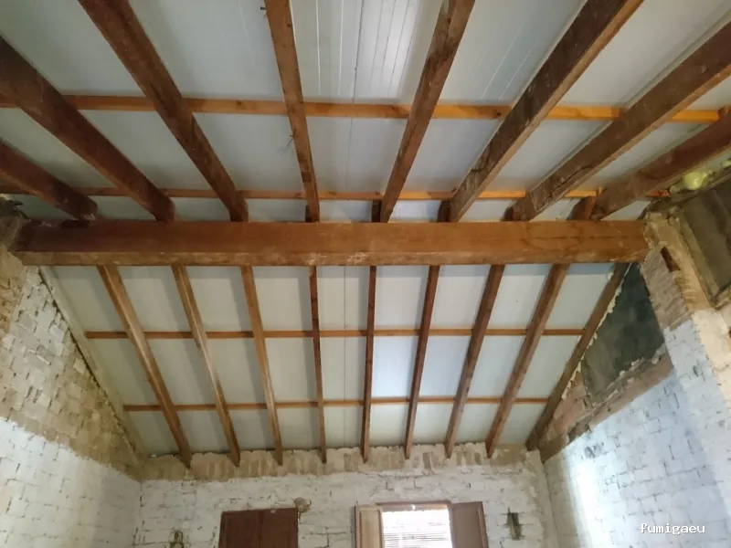 En-acción control de plagas y servicios