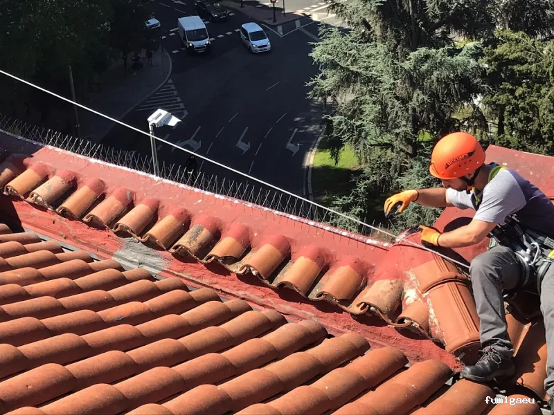 Control de plagas Madrid. JOTISA