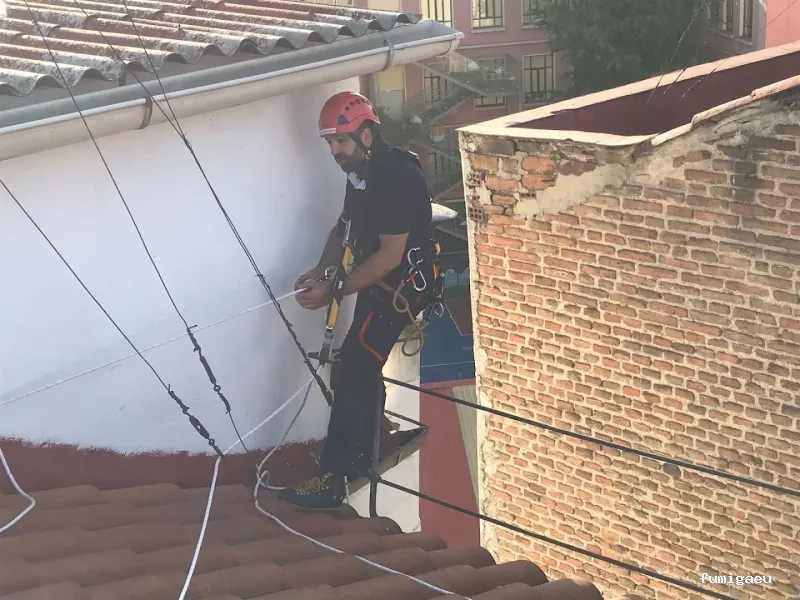 Control de plagas Madrid. JOTISA