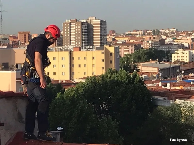 Control de plagas Madrid. JOTISA