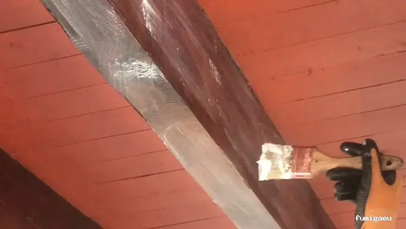 Control de plagas Madrid. JOTISA