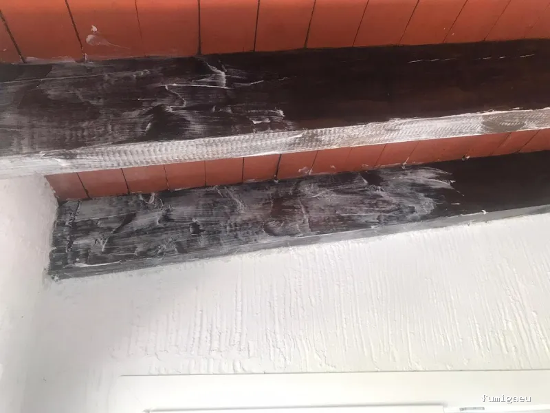 Control de plagas Madrid. JOTISA