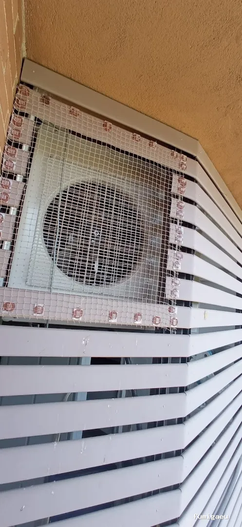 Control de plagas Madrid. JOTISA