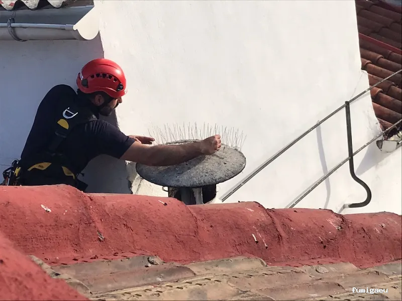 Control de plagas Madrid. JOTISA