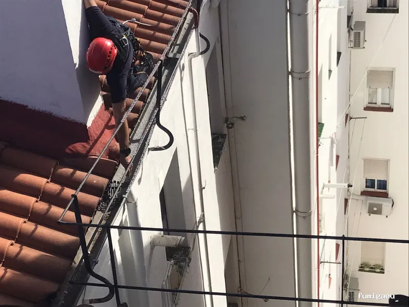 Control de plagas Madrid. JOTISA