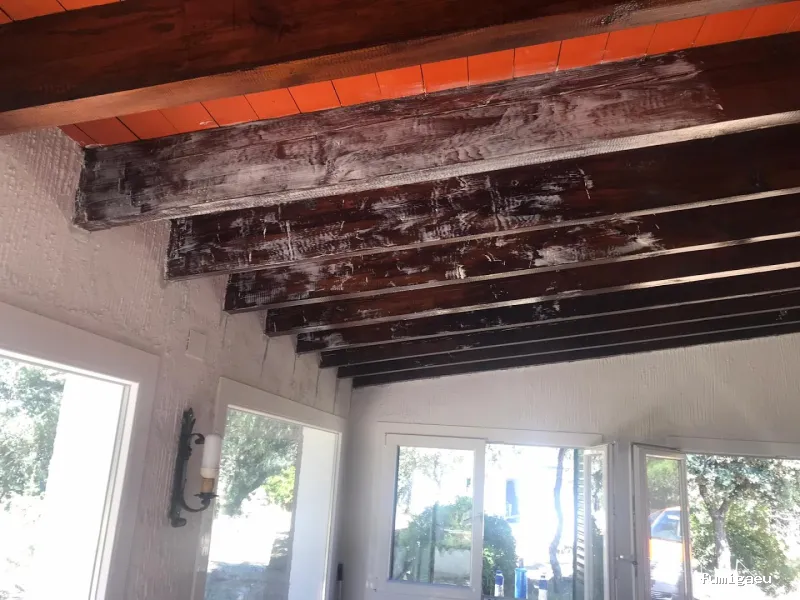 Control de plagas Madrid. JOTISA