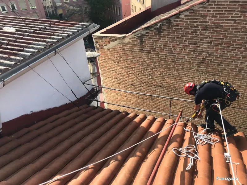 Control de plagas Madrid. JOTISA