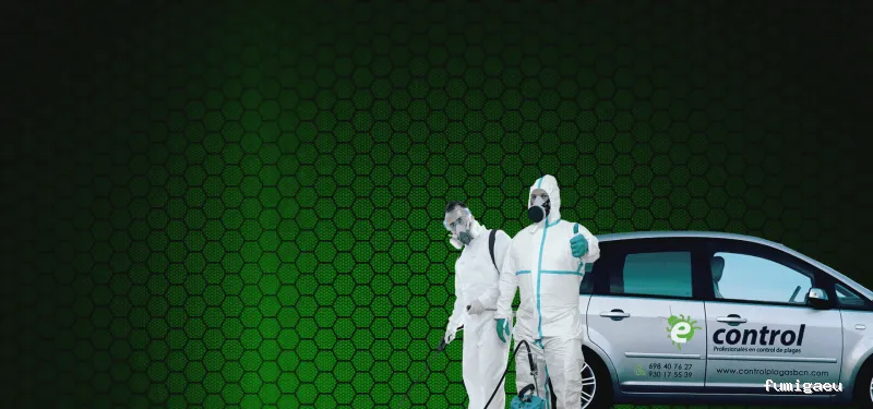 Econtrol de plagas BCN