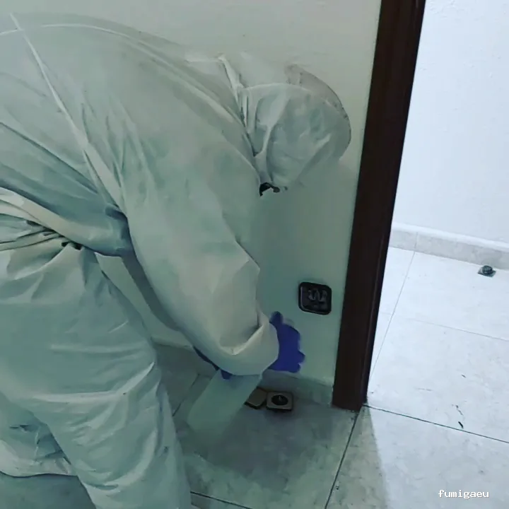 Econtrol de plagas BCN