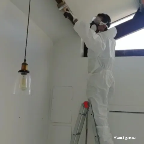 Econtrol de plagas BCN