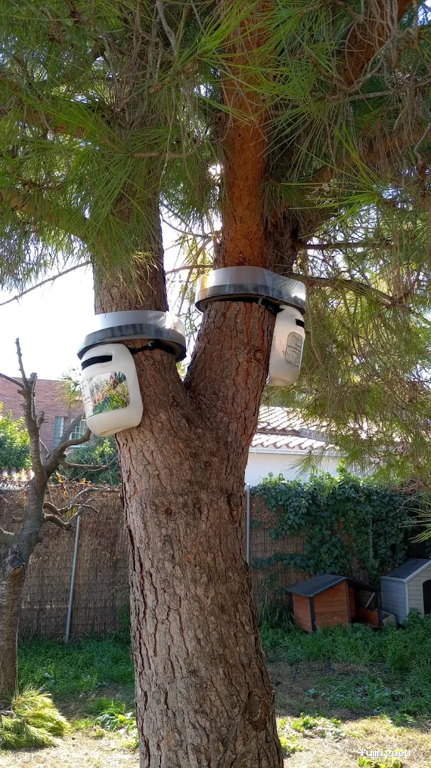 Econtrol de plagas BCN