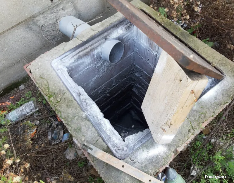 Econtrol de plagas BCN