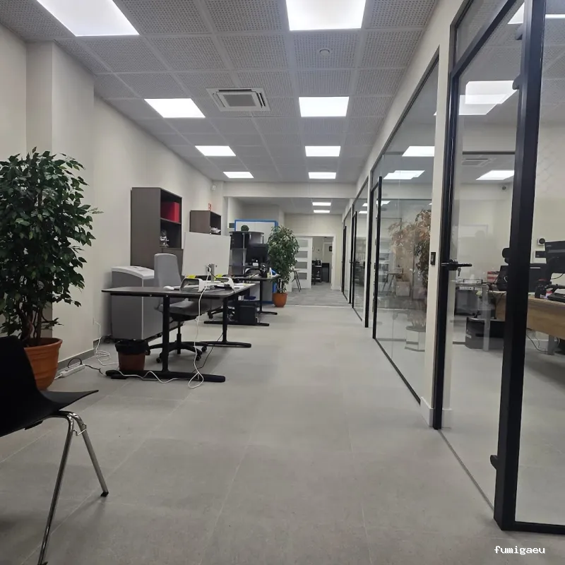 Control de Plagas de Termitas y Carcoma Sitehisa🦠🐜🐝🦗