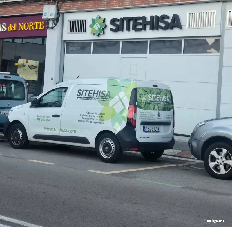 Control de Plagas de Termitas y Carcoma Sitehisa🦠🐜🐝🦗