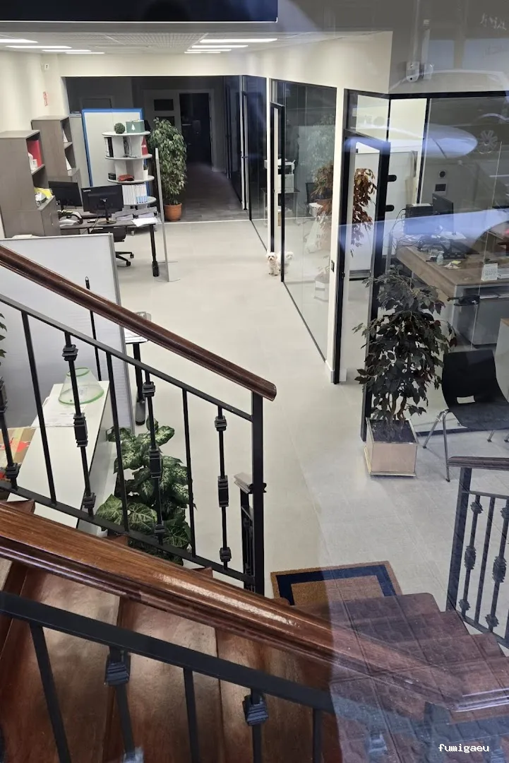 Control de Plagas de Termitas y Carcoma Sitehisa🦠🐜🐝🦗