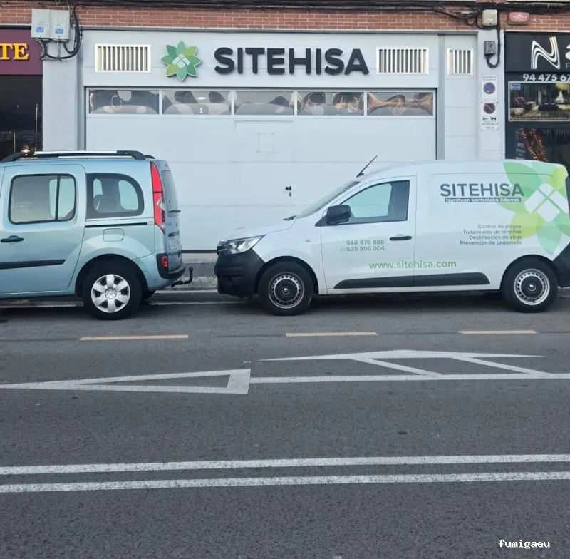 Control de Plagas de Termitas y Carcoma Sitehisa🦠🐜🐝🦗