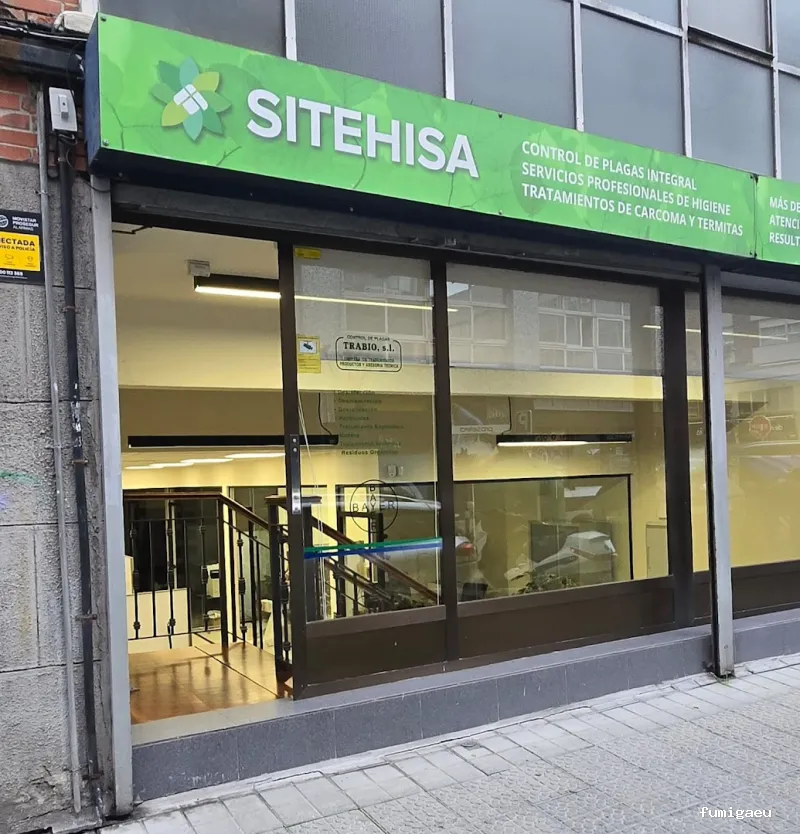 Control de Plagas de Termitas y Carcoma Sitehisa🦠🐜🐝🦗