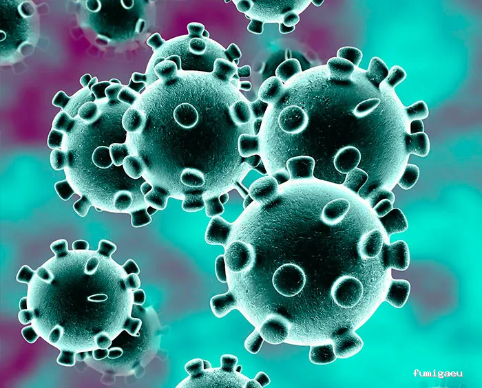 Control de Plagas de Termitas y Carcoma Sitehisa🦠🐜🐝🦗