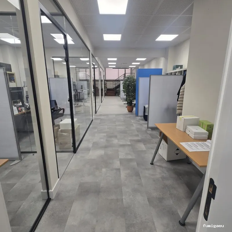 Control de Plagas de Termitas y Carcoma Sitehisa🦠🐜🐝🦗