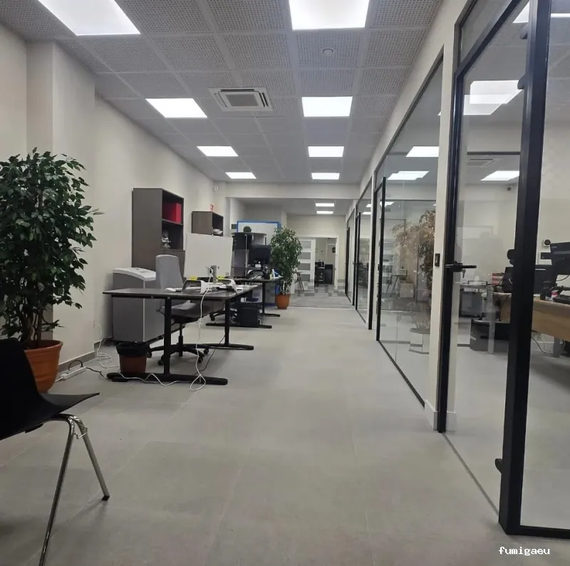 Control de Plagas de Termitas y Carcoma Sitehisa🦠🐜🐝🦗