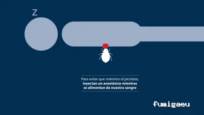 Rentokil Control de Plagas en Palma de Mallorca