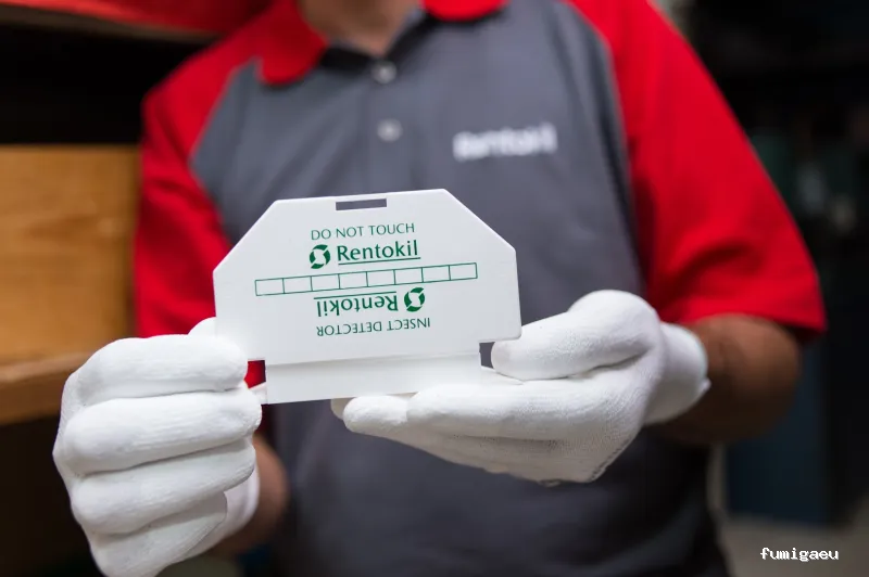 Rentokil Control de Plagas en Palma de Mallorca