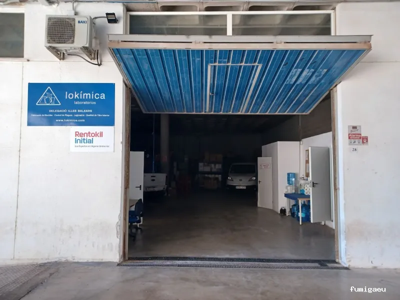 Rentokil Control de Plagas en Palma de Mallorca