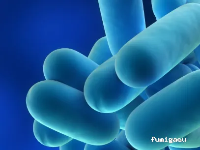 Rentokil Control de Plagas en Palma de Mallorca