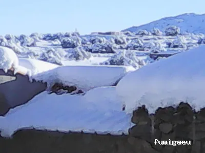 Plagas Castilla y León