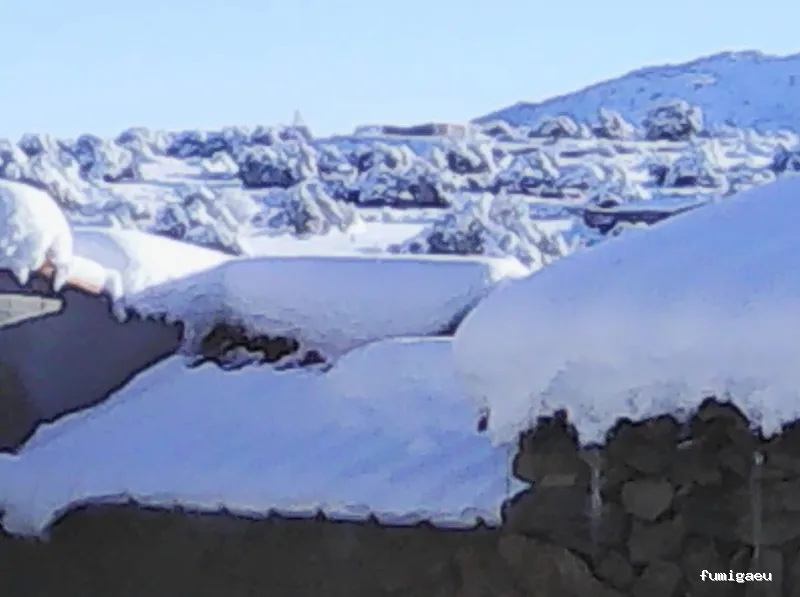 Plagas Castilla y León