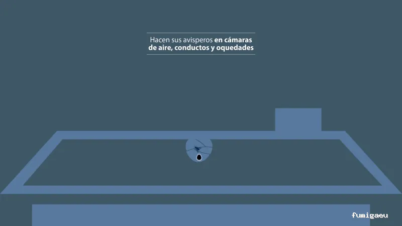 Rentokil Control de Plagas Asturias