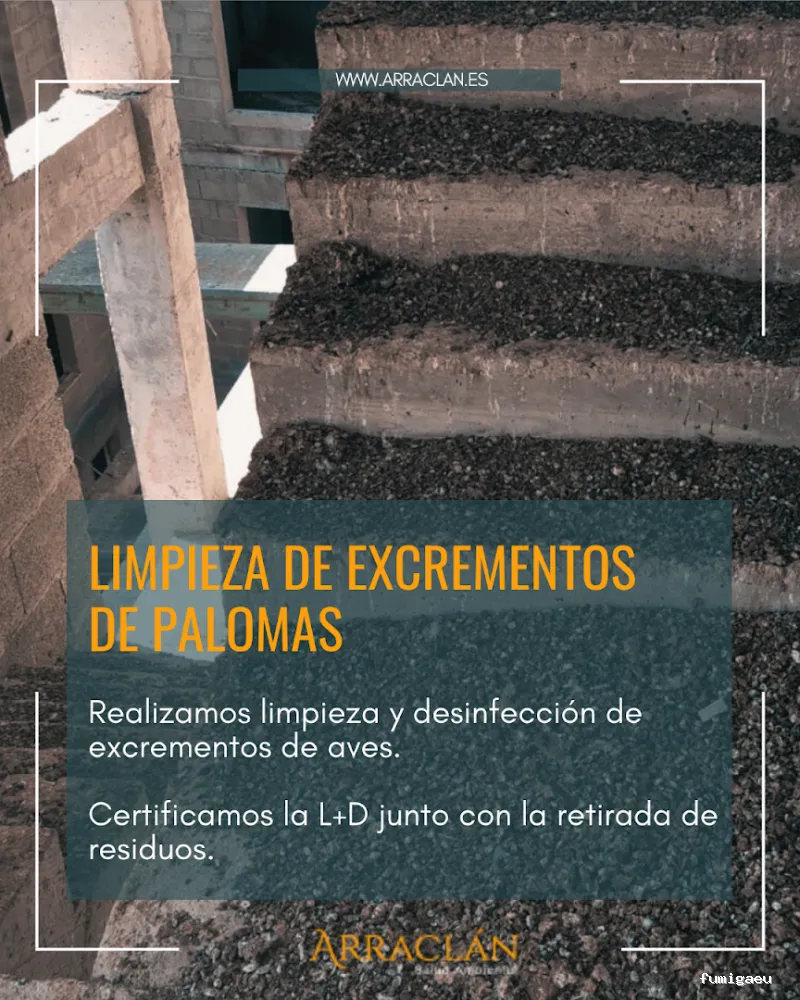 Arraclán Salud Ambiental