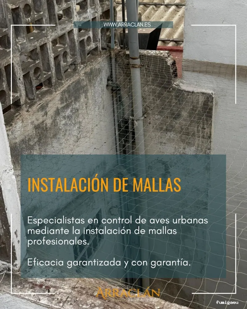 Arraclán Salud Ambiental