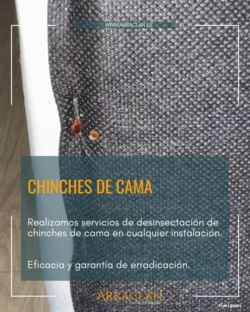 Arraclán Salud Ambiental